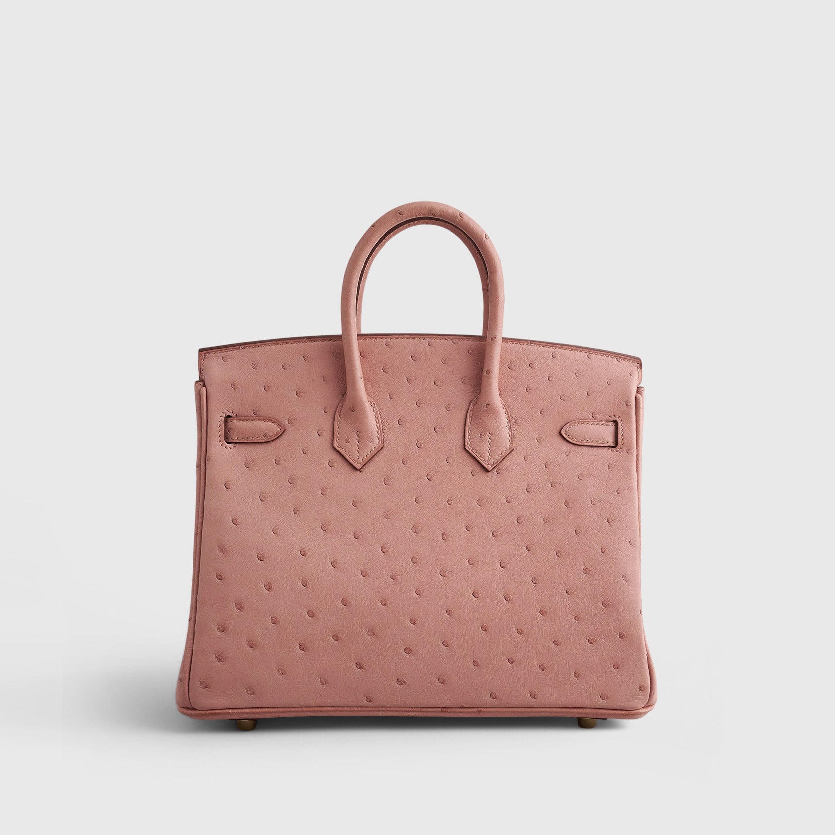 Hermès Birkin 25 Ostrich Terre Cuite Gold Hardware - eliteUSA 