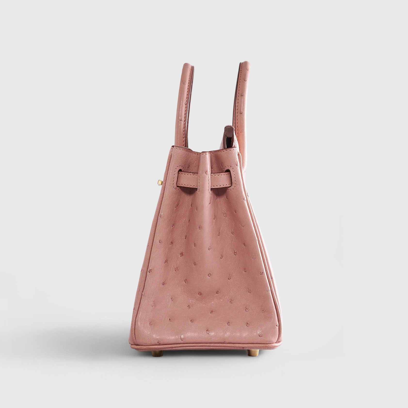 Hermès Birkin 25 Ostrich Terre Cuite Gold Hardware - eliteUSA 