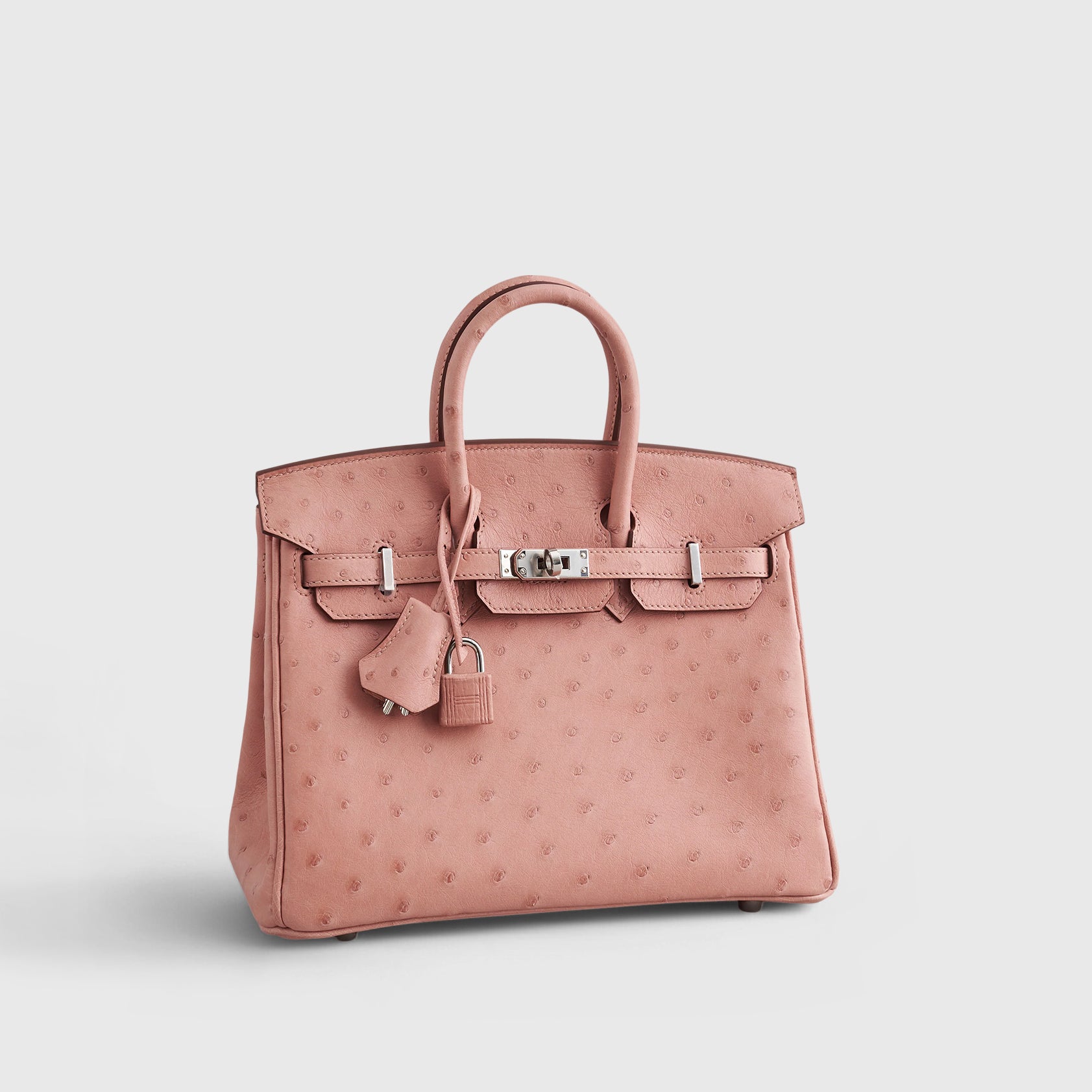 Hermès Birkin 25 Ostrich Terre Cuite Palladium Hardware - eliteUSA 