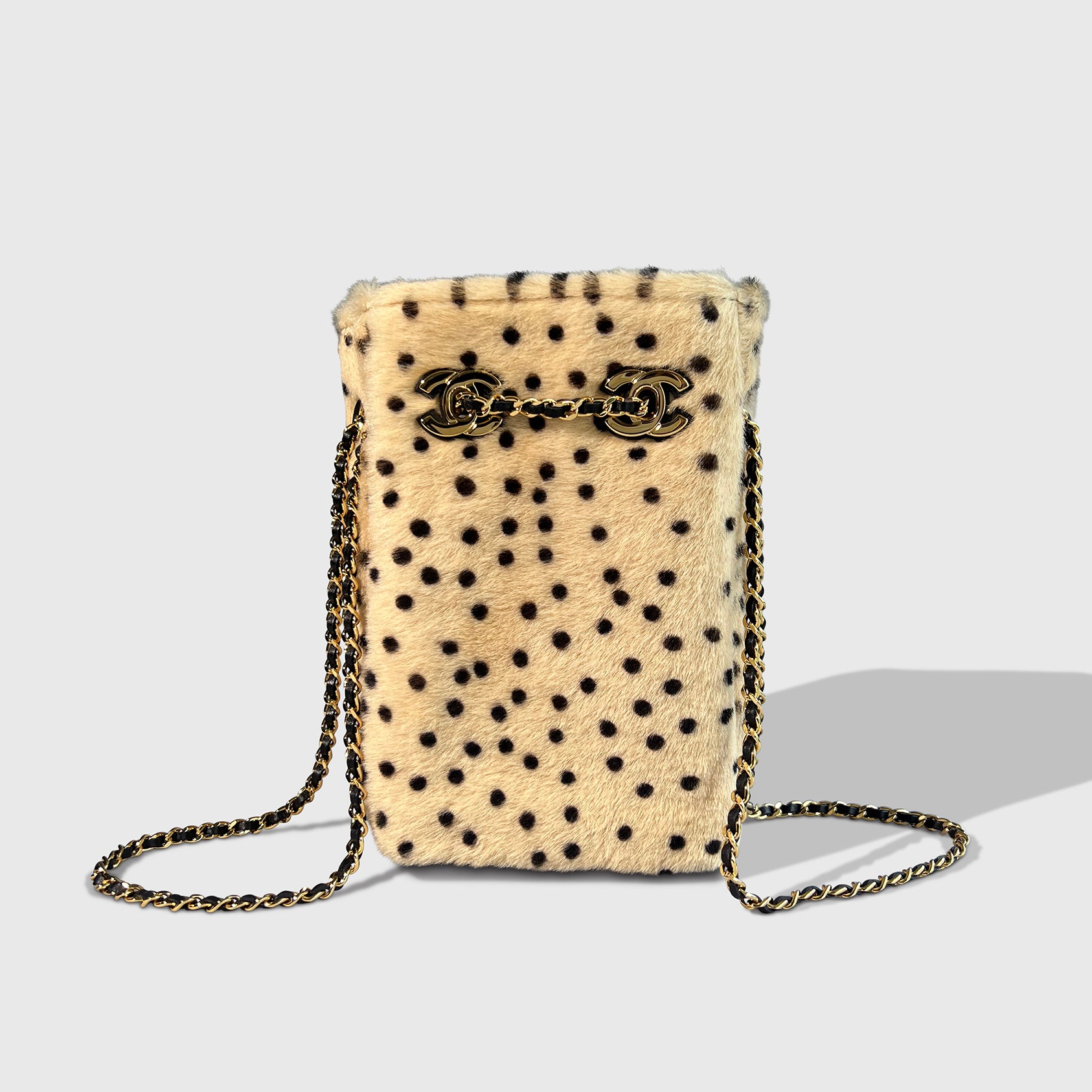Chanel Pony Hair Bucket Bag