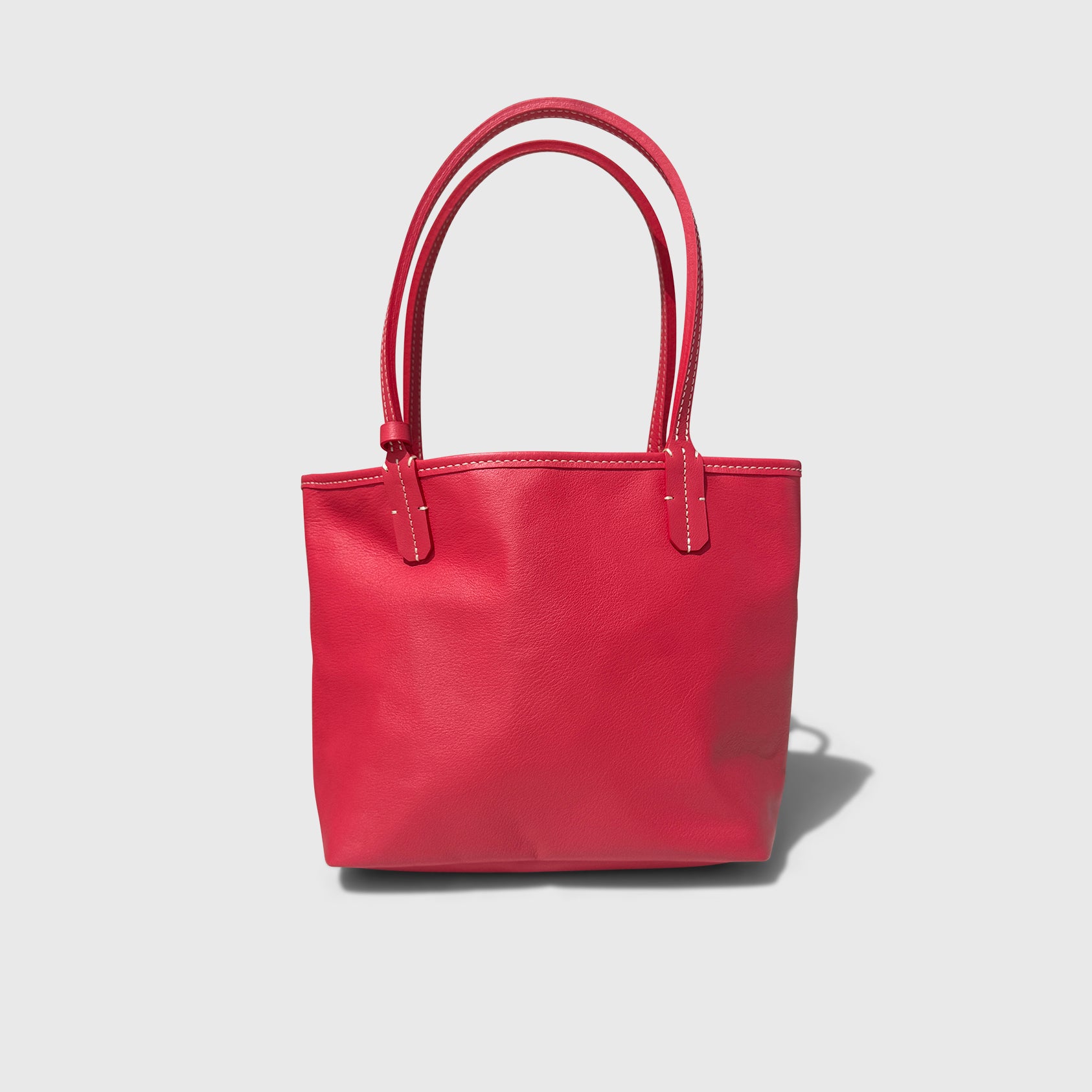 Goyard Mini Anjou (Limited Edition)