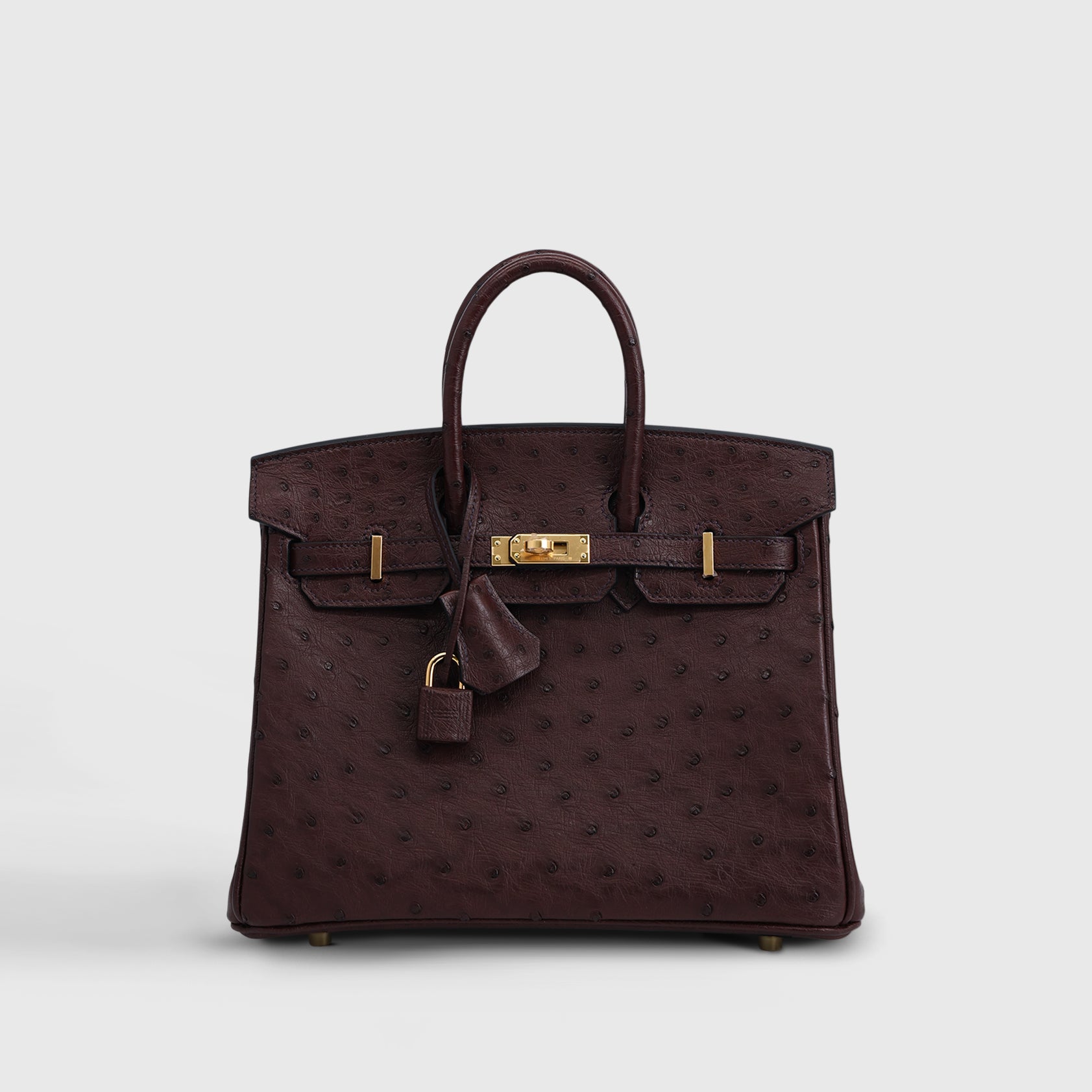 Hermès Birkin 25 Ostrich Rouge Sellier Gold Hardware