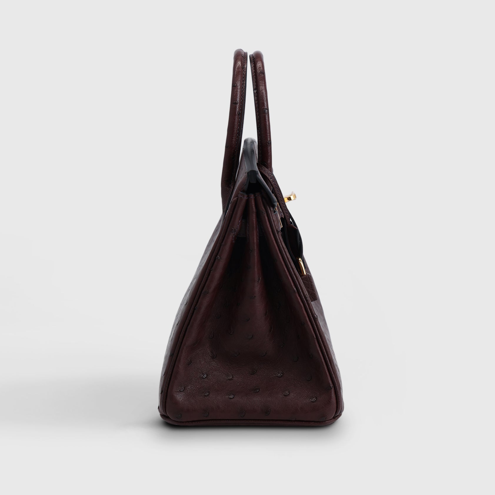 Hermès Birkin 25 Ostrich Rouge Sellier Gold Hardware