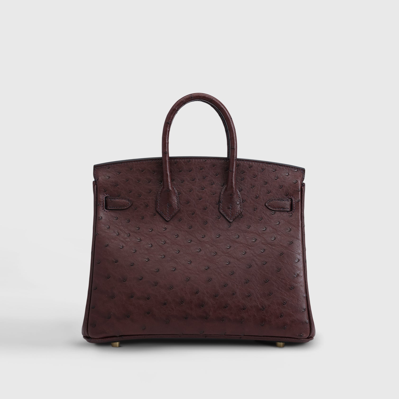 Hermès Birkin 25 Ostrich Rouge Sellier Gold Hardware
